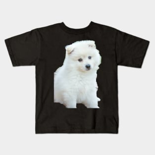 American Eskimo Dog picture Kids T-Shirt